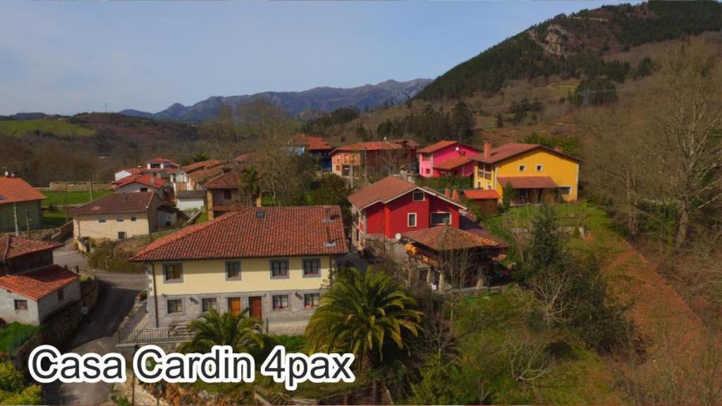 Casa Cardin Apartment Cangas de Onis Exterior photo